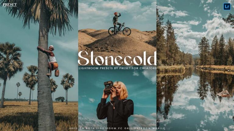 STONECOLD Lightroom Preset Free DNG File