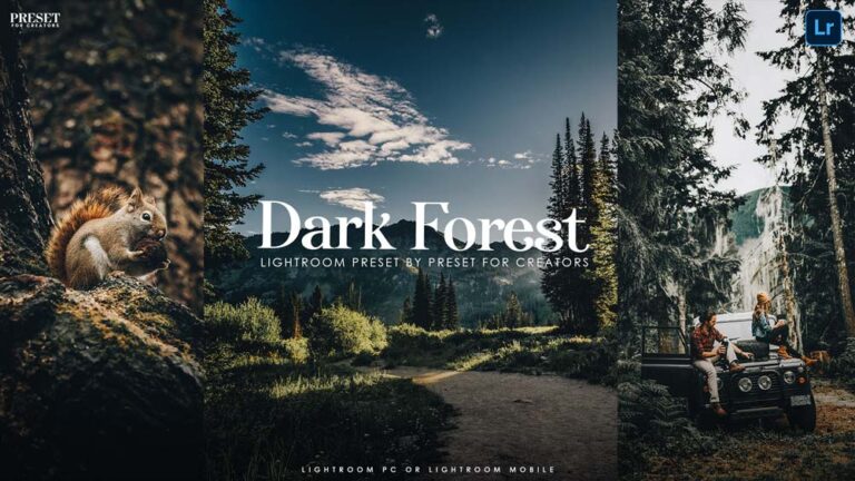 Free Dark Forest Preset for Lightroom