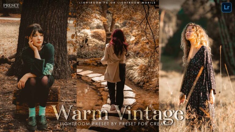 Free Warm Vintage Preset for Lightroom